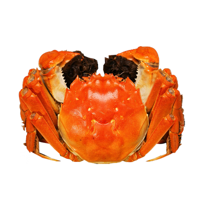 lзϵRӡĺζ